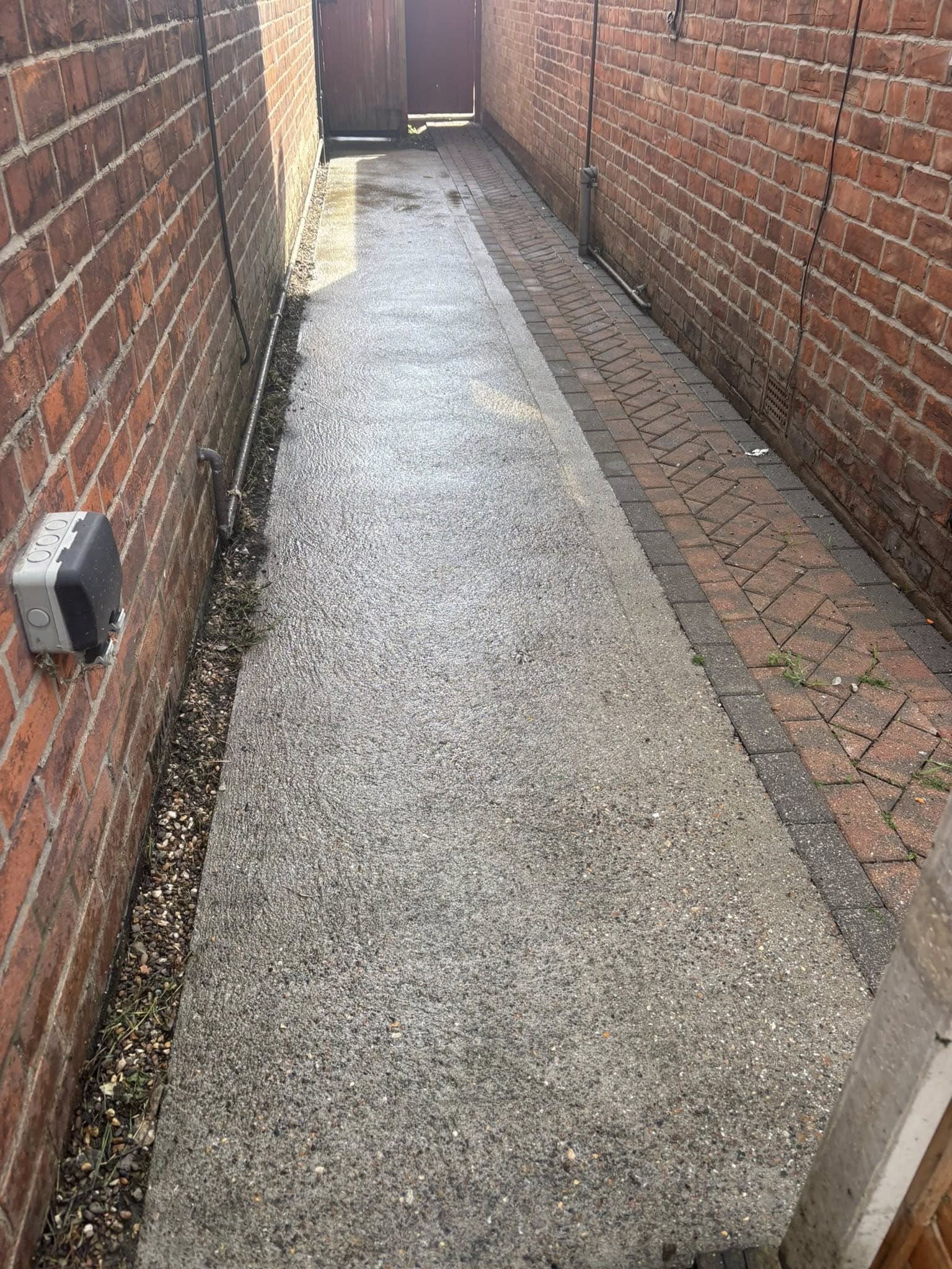 Overgrown garden transformation