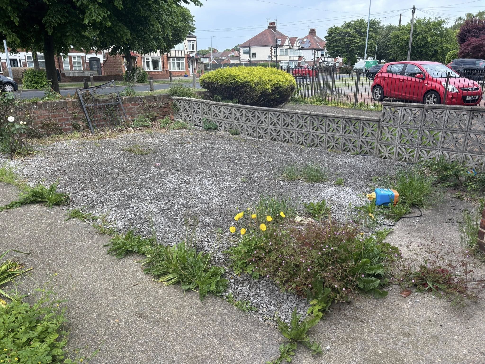 Garden clearance and maintenance project