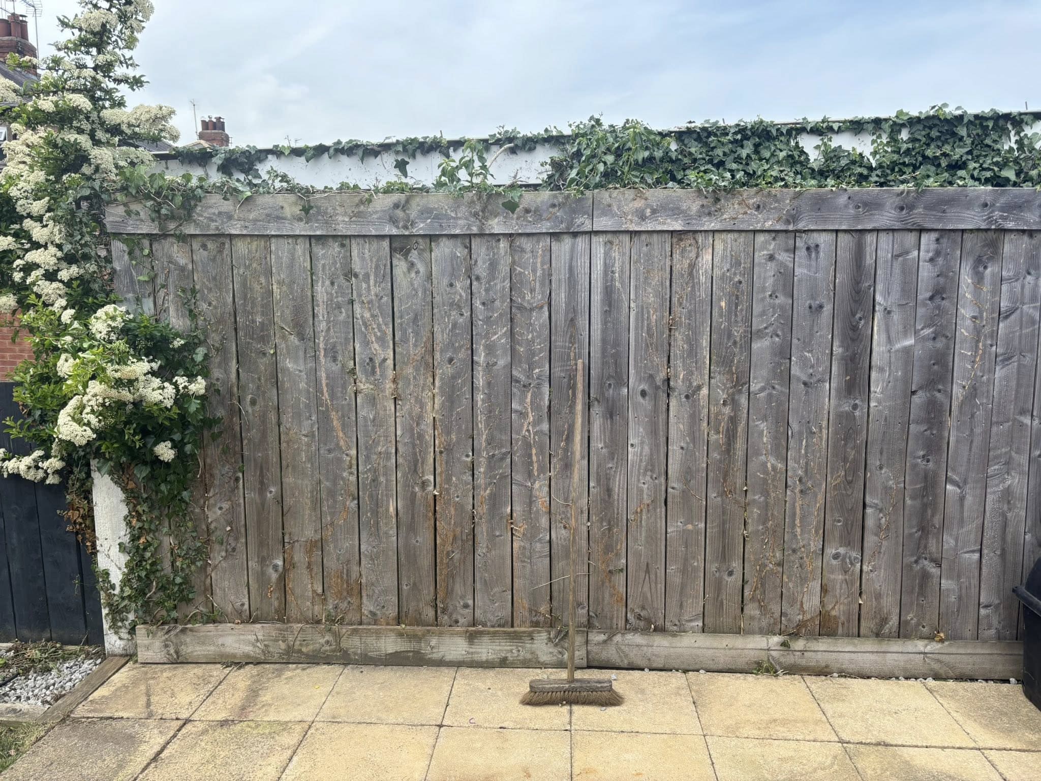 Full property exterior clean and tidy up